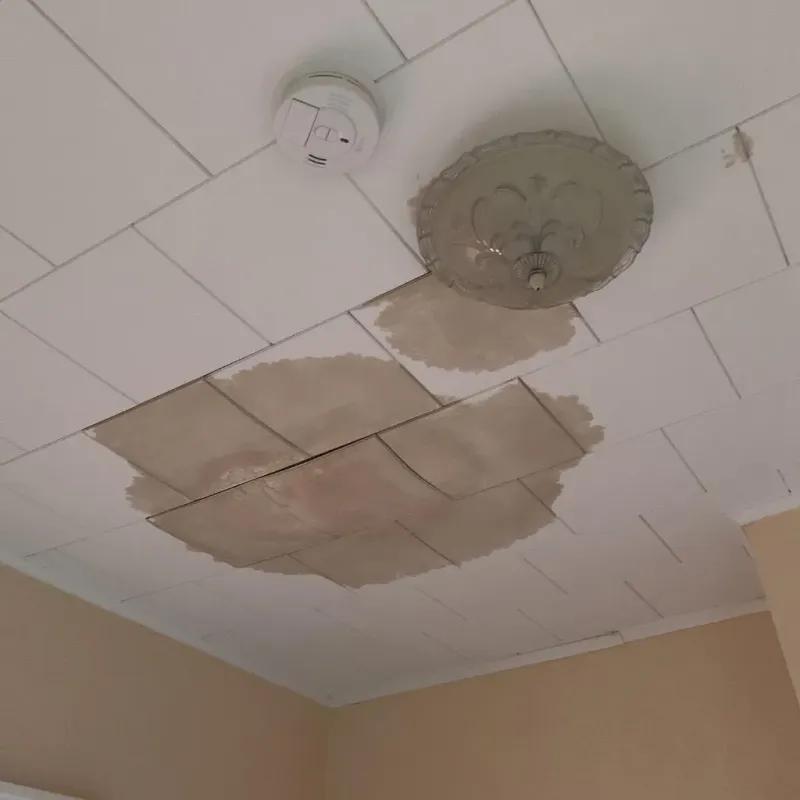 Ceiling Water Damage Repair in Drum Point, MD